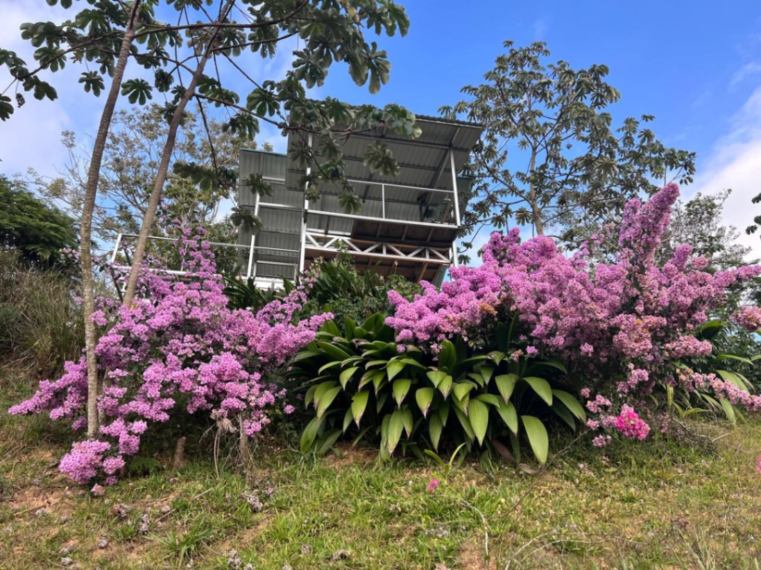 Peaceful Mountain Retreat with Expansive Views in La Angostura, Pérez Zeledón