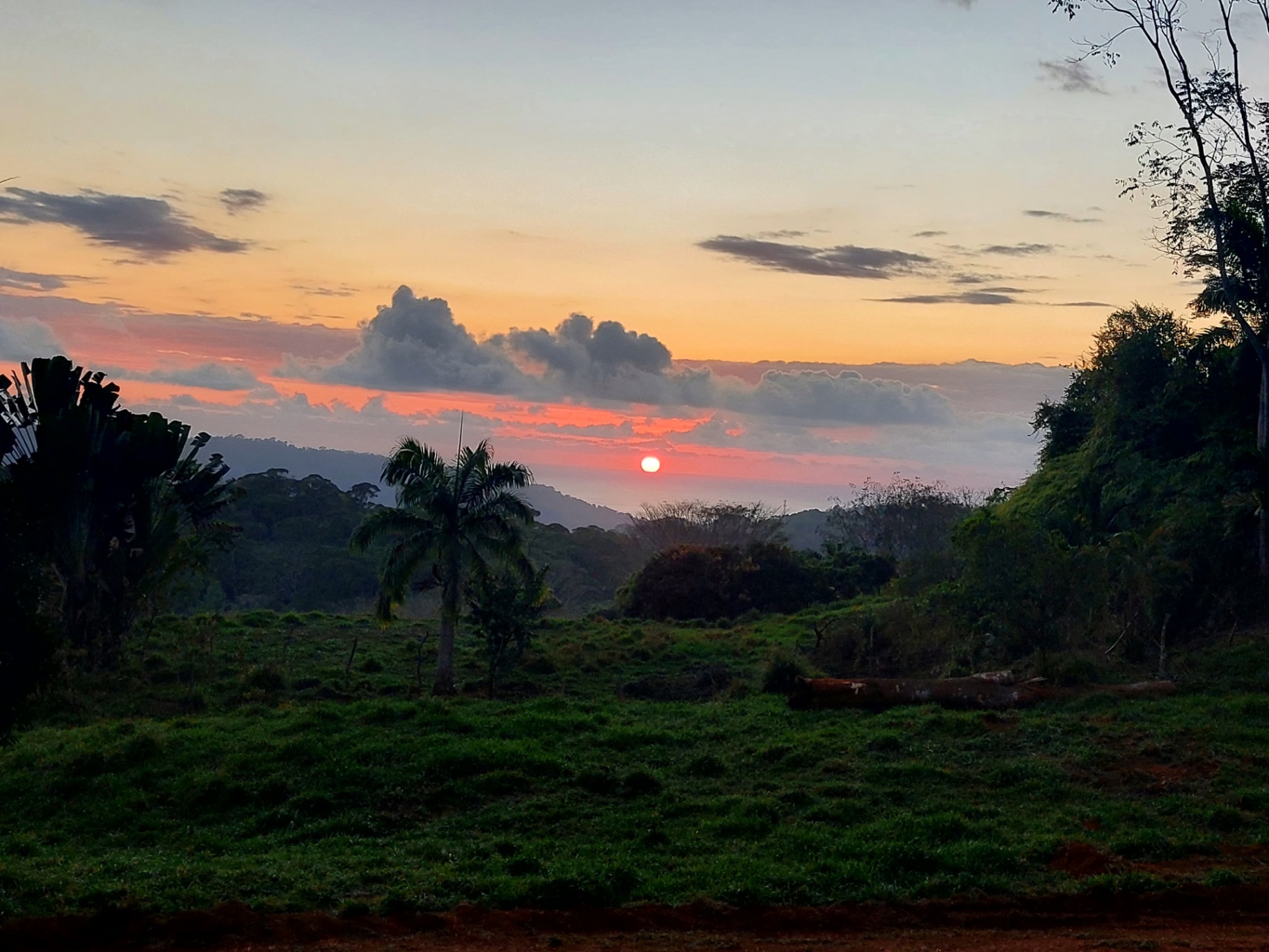  Own a Piece of Pura Vida Heaven – Your Costa Rican Dream Awaits!