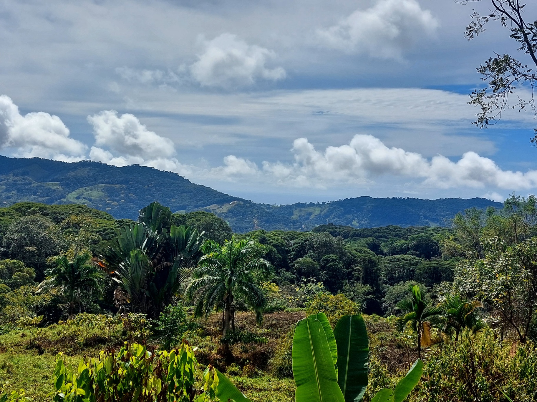  Own a Piece of Pura Vida Heaven – Your Costa Rican Dream Awaits!