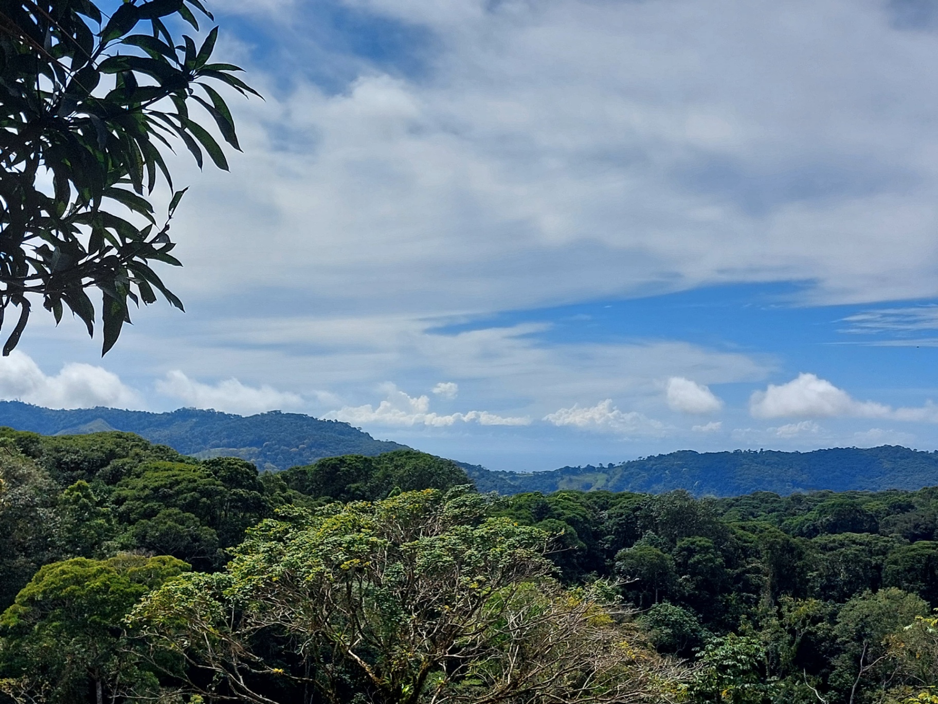  Own a Piece of Pura Vida Heaven – Your Costa Rican Dream Awaits!