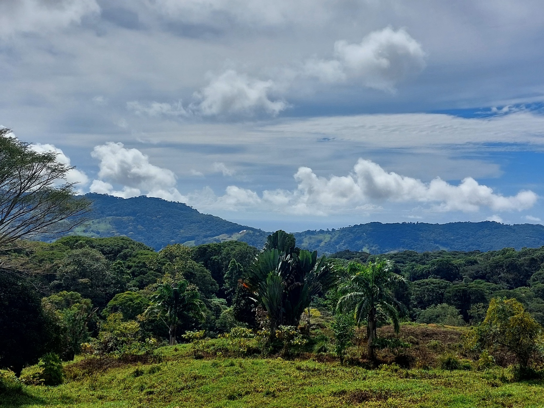  Own a Piece of Pura Vida Heaven – Your Costa Rican Dream Awaits!