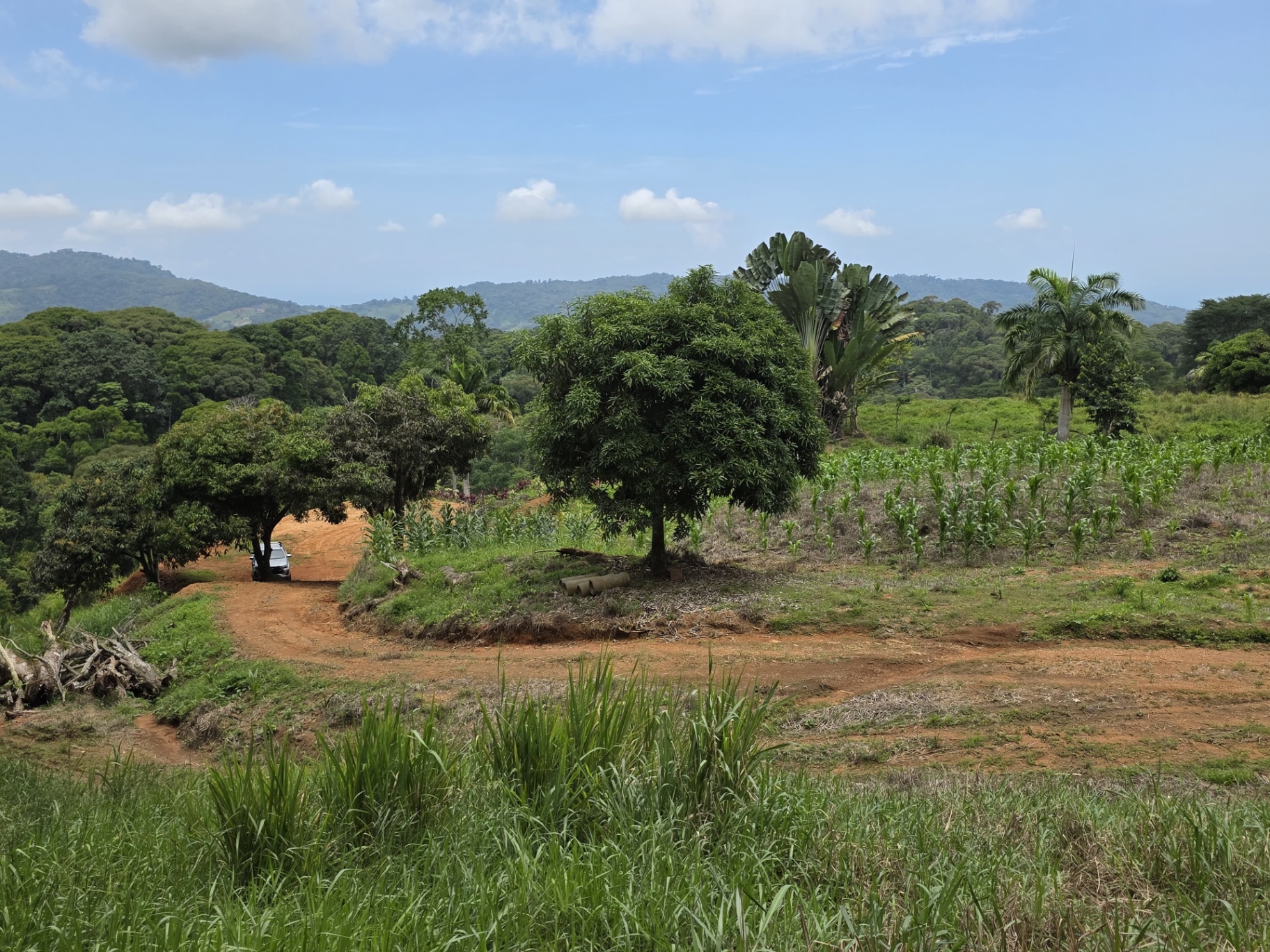  Own a Piece of Pura Vida Heaven – Your Costa Rican Dream Awaits!