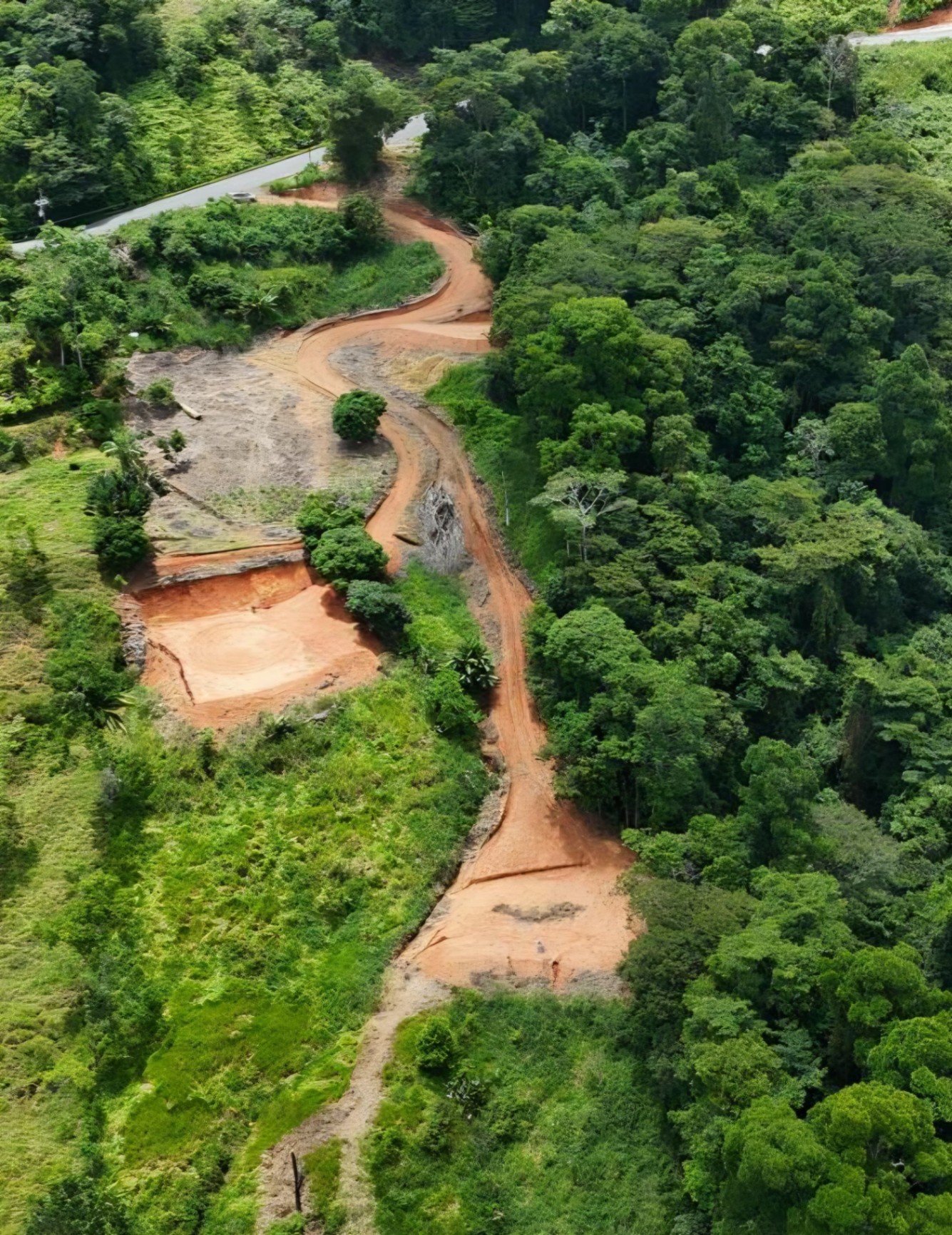  Own a Piece of Pura Vida Heaven – Your Costa Rican Dream Awaits!