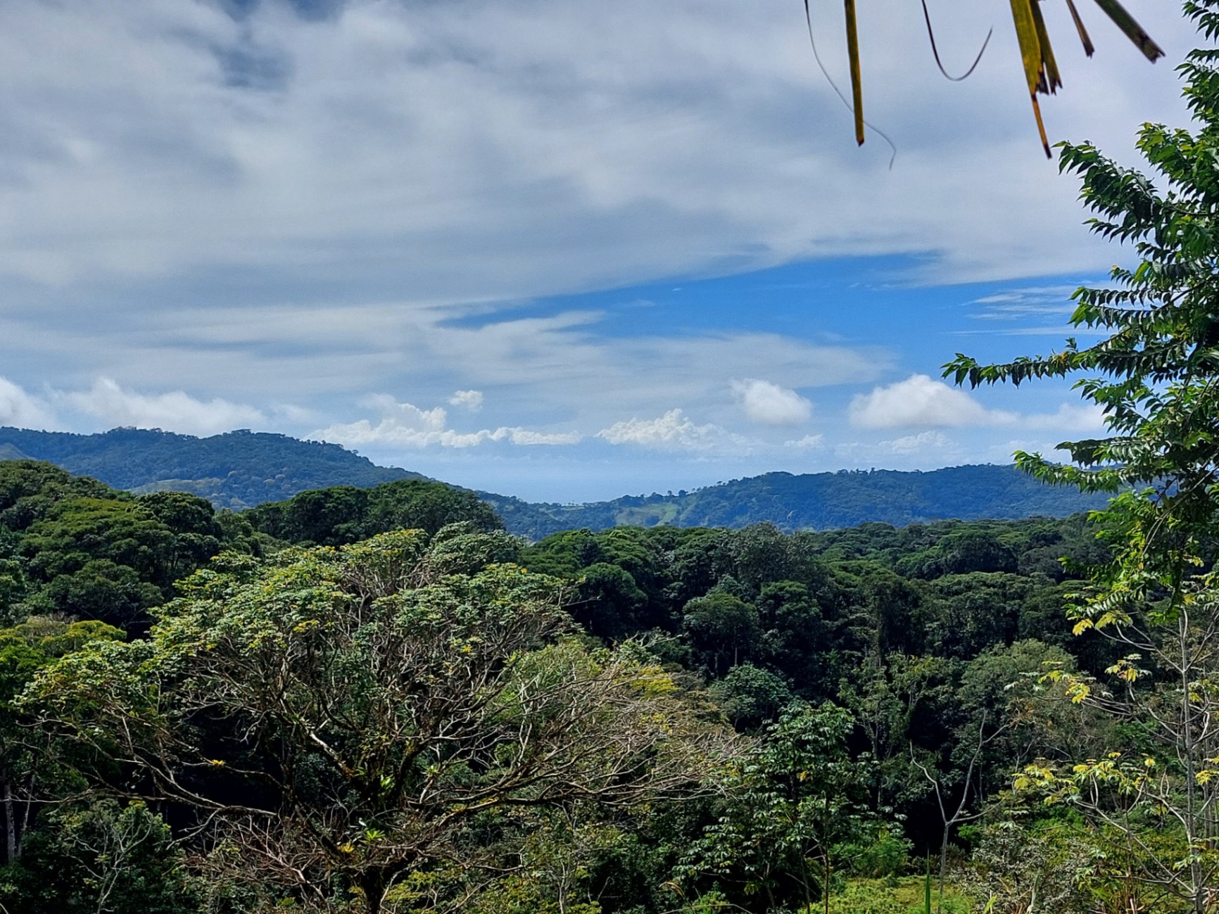  Own a Piece of Pura Vida Heaven – Your Costa Rican Dream Awaits!