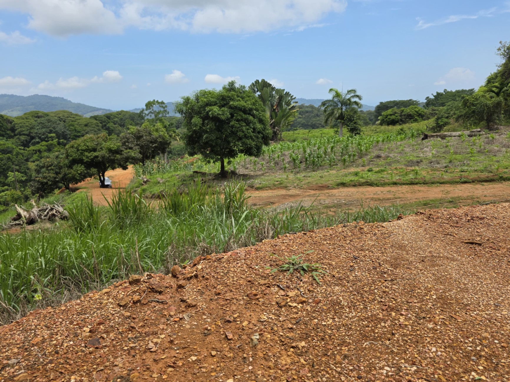  Own a Piece of Pura Vida Heaven – Your Costa Rican Dream Awaits!