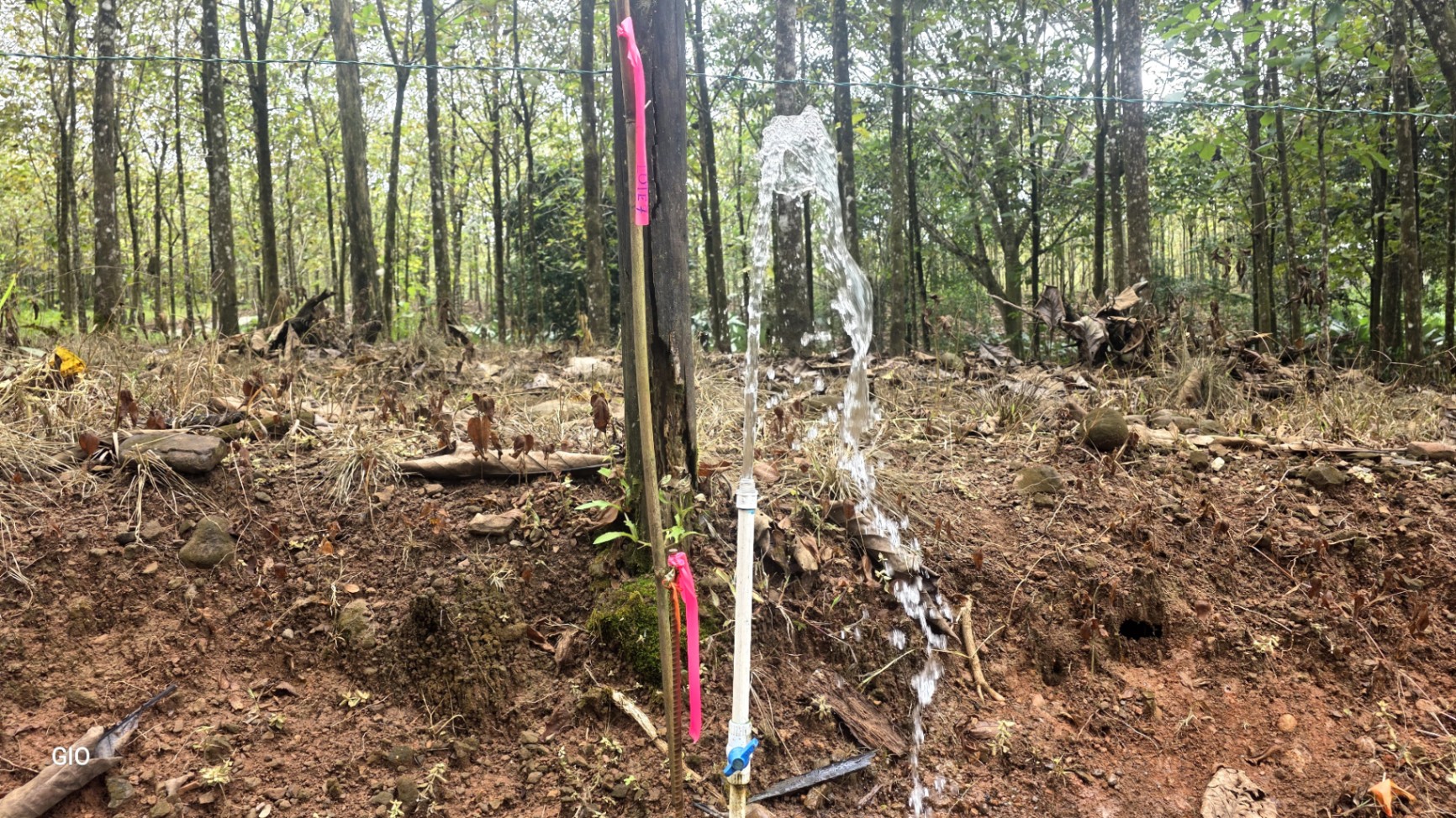 Unbeatable Investment Opportunity Near the Central Pacific Beaches!