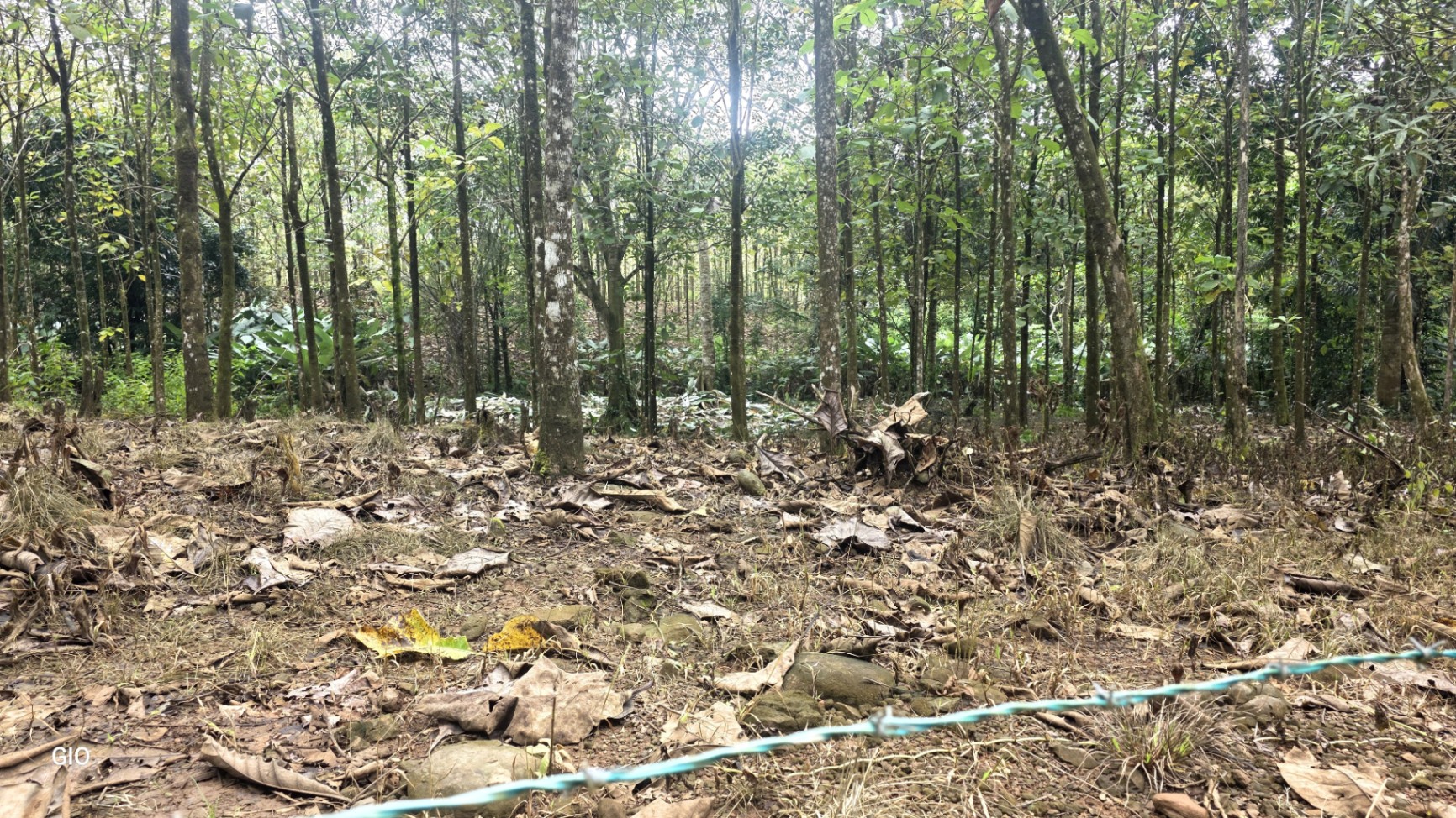 Unbeatable Investment Opportunity Near the Central Pacific Beaches!