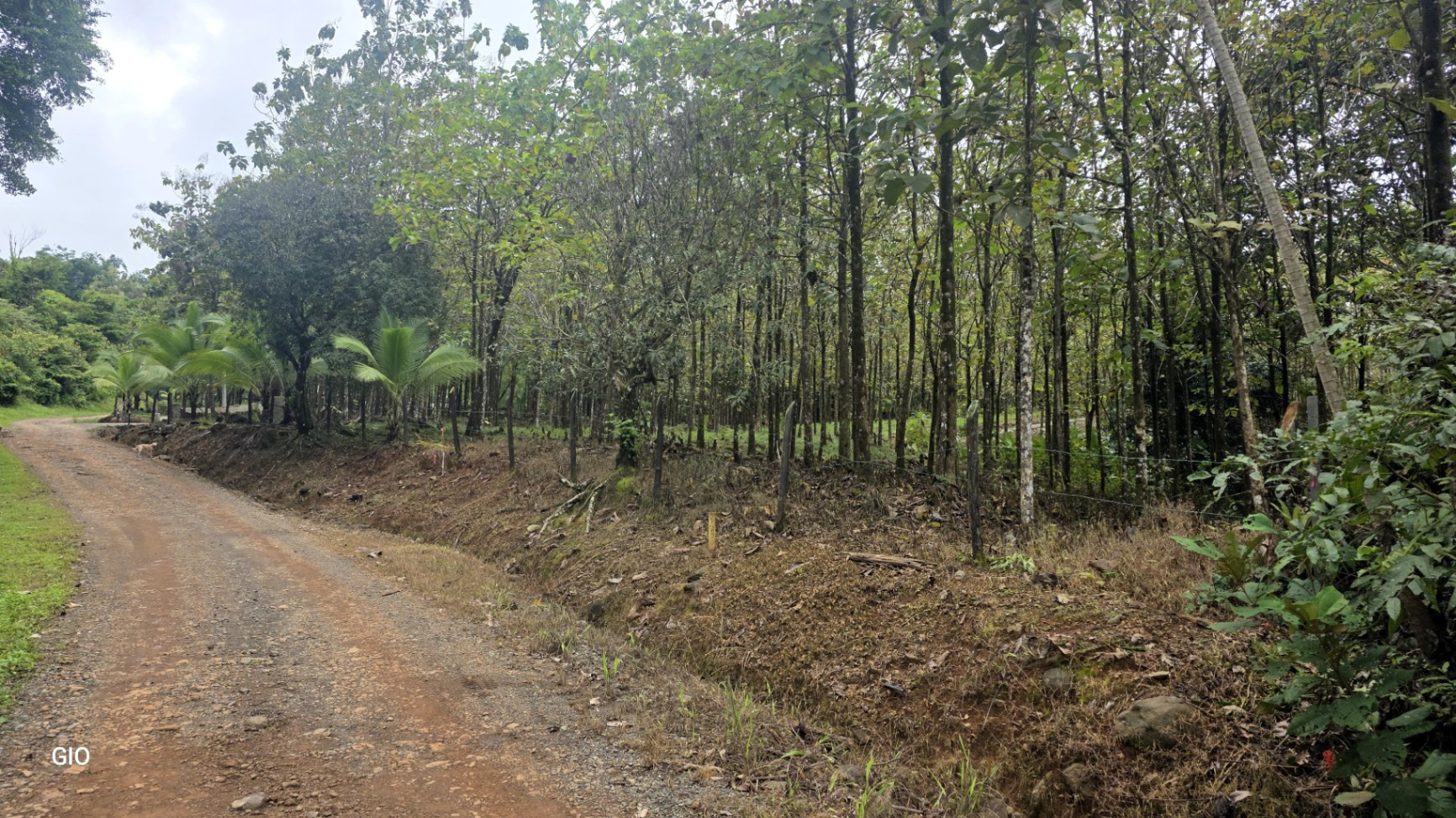 Unbeatable Investment Opportunity Near the Central Pacific Beaches!