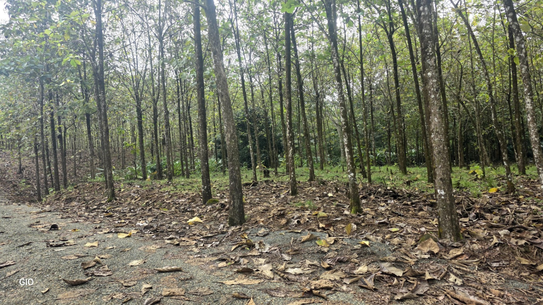 Unbeatable Investment Opportunity Near the Central Pacific Beaches!