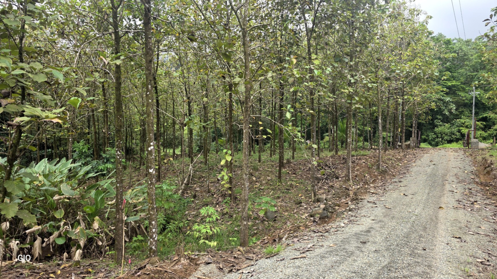 Unbeatable Investment Opportunity Near the Central Pacific Beaches!