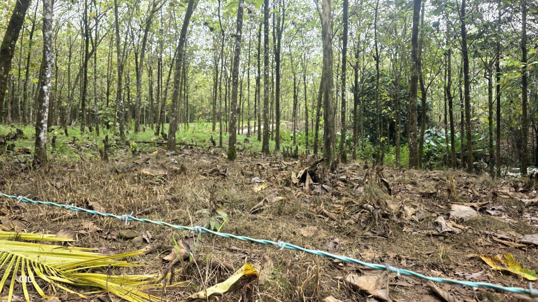 Unbeatable Investment Opportunity Near the Central Pacific Beaches!