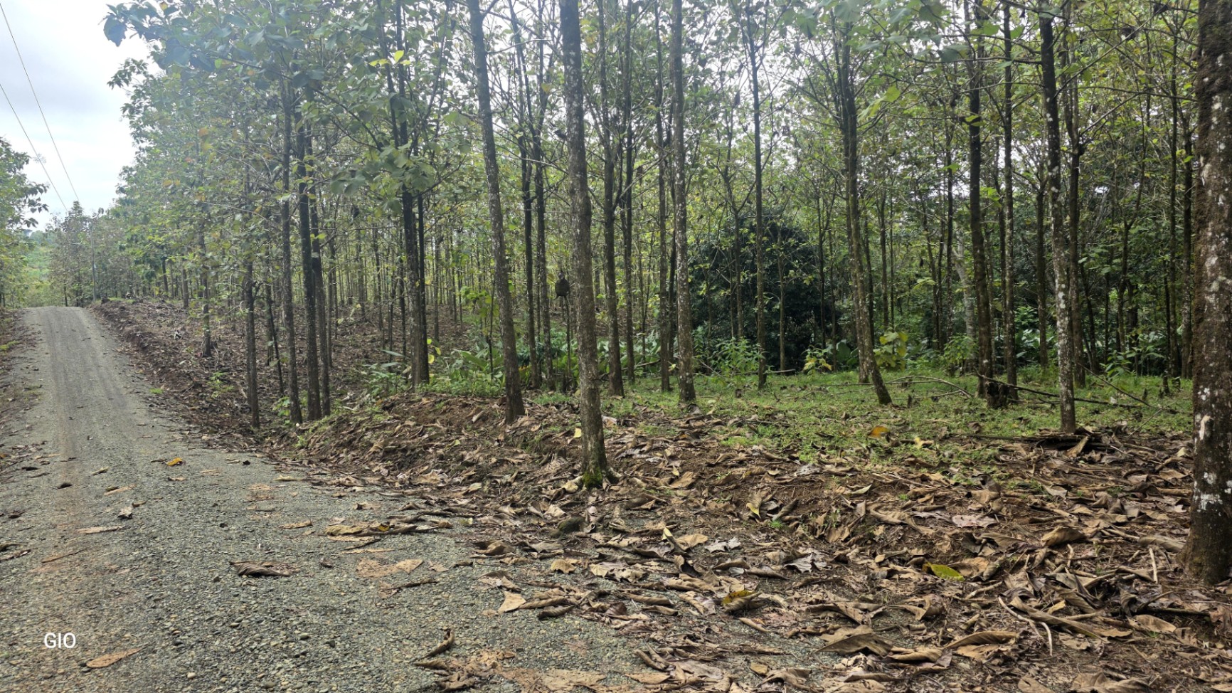 Unbeatable Investment Opportunity Near the Central Pacific Beaches!