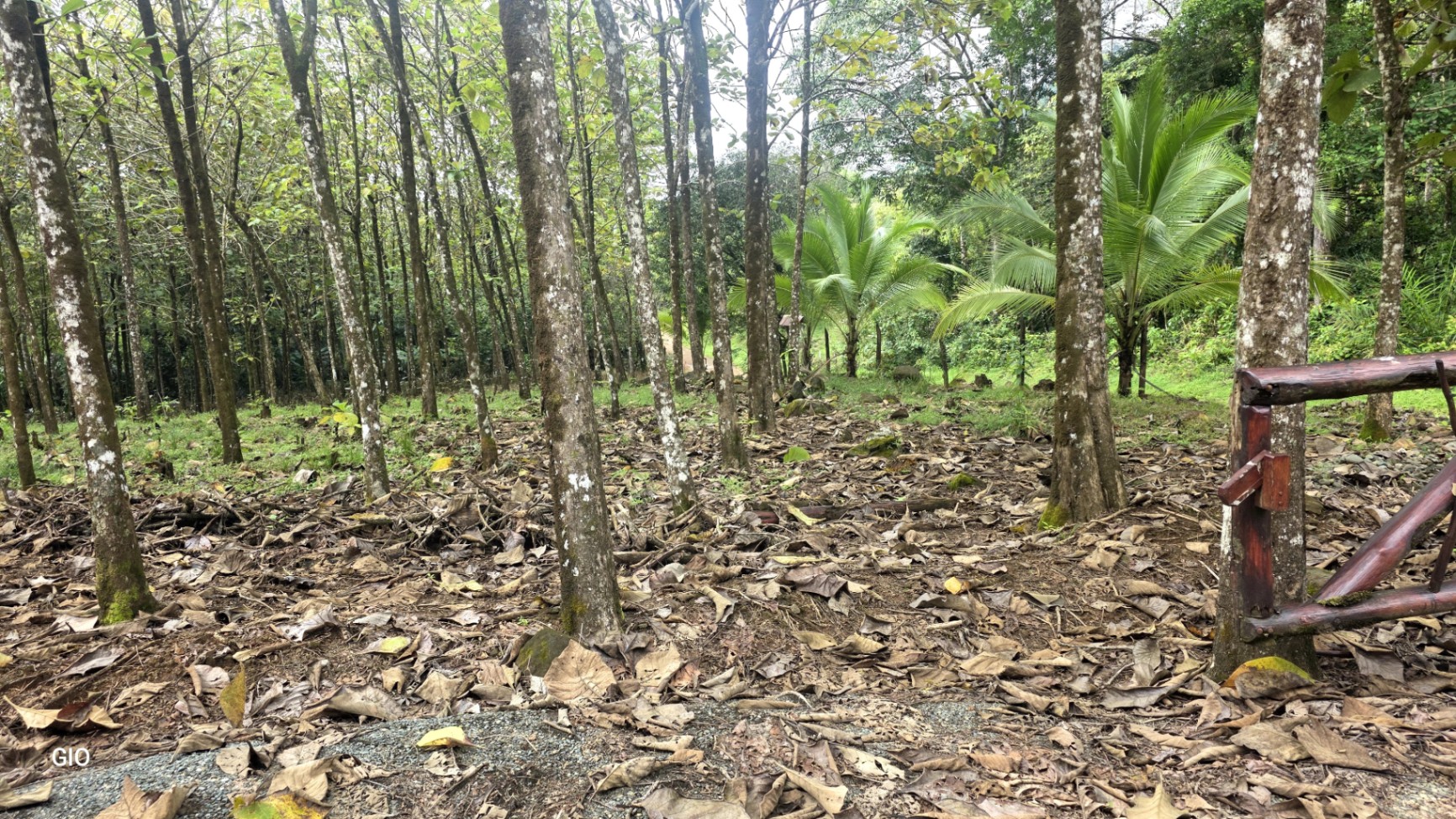 Unbeatable Investment Opportunity Near the Central Pacific Beaches!