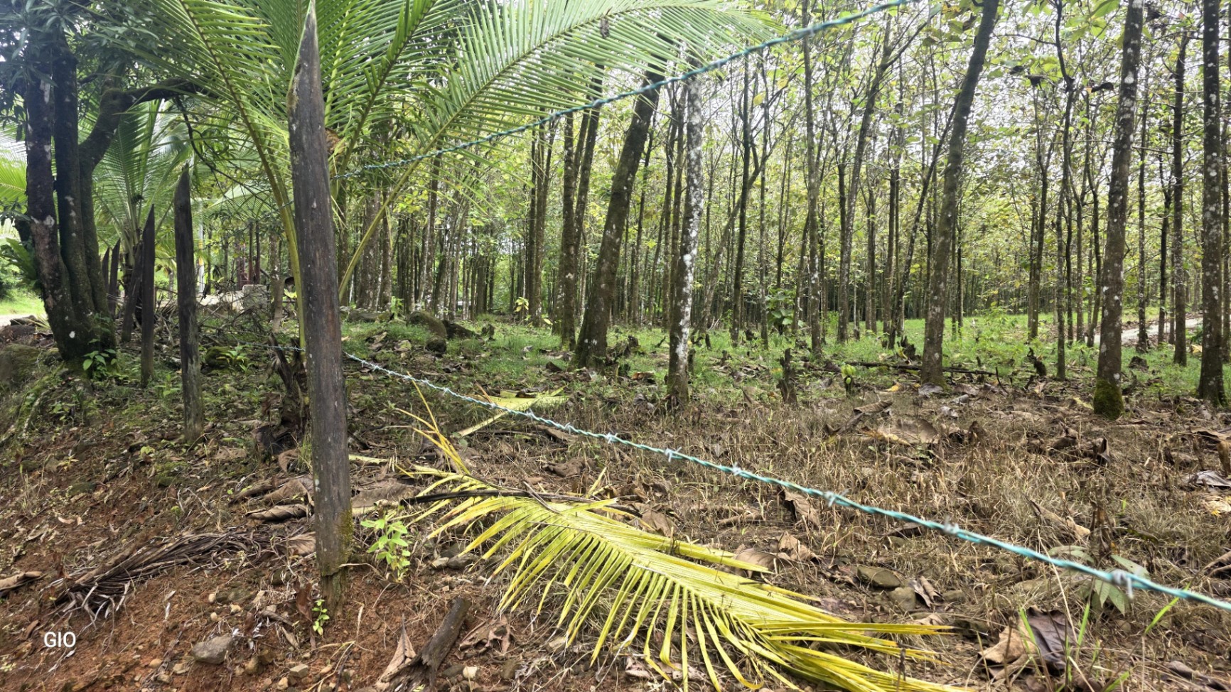 Unbeatable Investment Opportunity Near the Central Pacific Beaches!