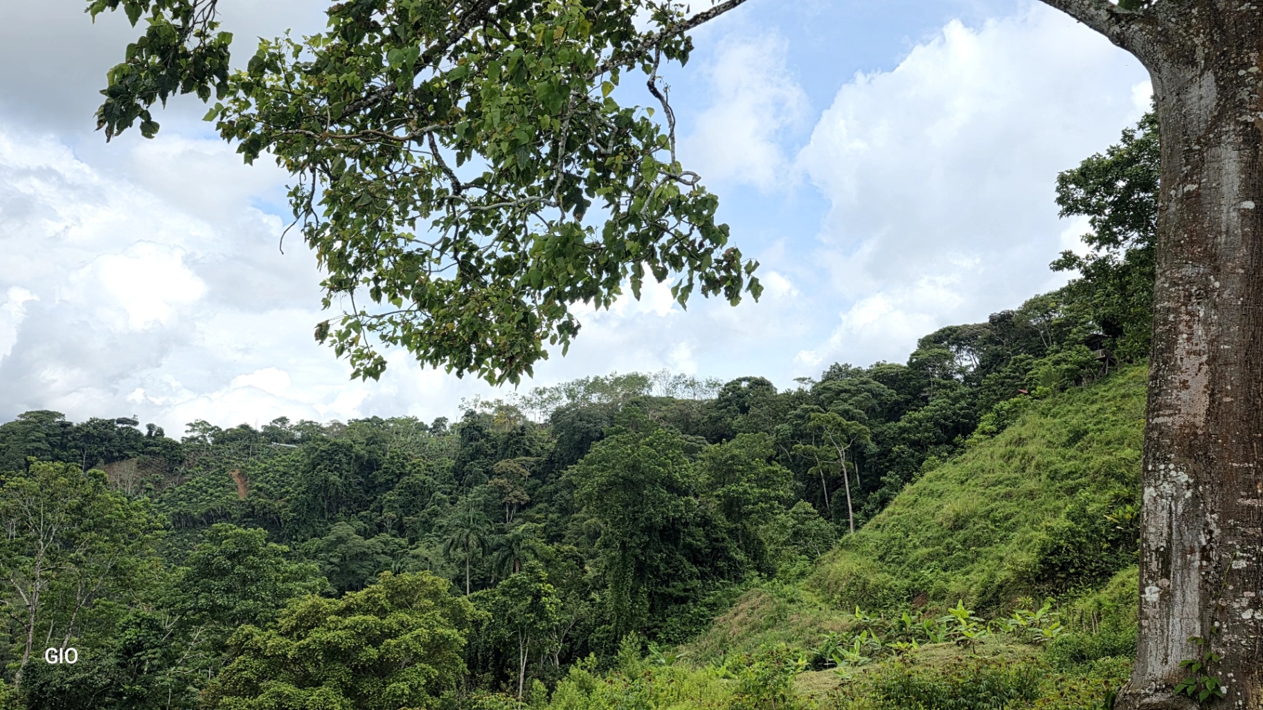 🔥 RARE FIND! COSTA RICAN PARADISE WITH WATERFALLS & CHIRRIPÓ VIEWS FOR SALE! 🔥Price reduced to $250,000