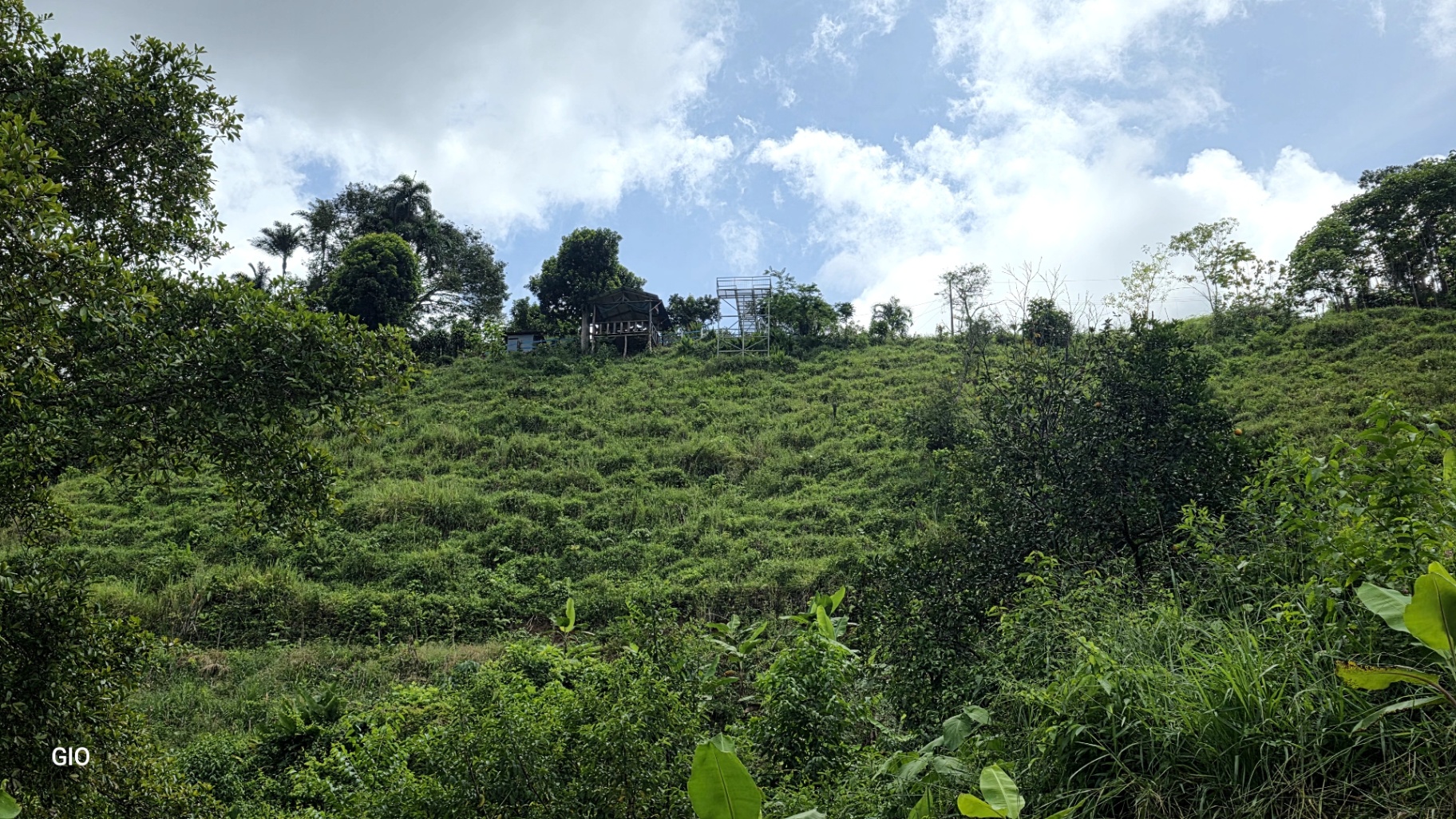 🔥 RARE FIND! COSTA RICAN PARADISE WITH WATERFALLS & CHIRRIPÓ VIEWS FOR SALE! 🔥Price reduced to $250,000