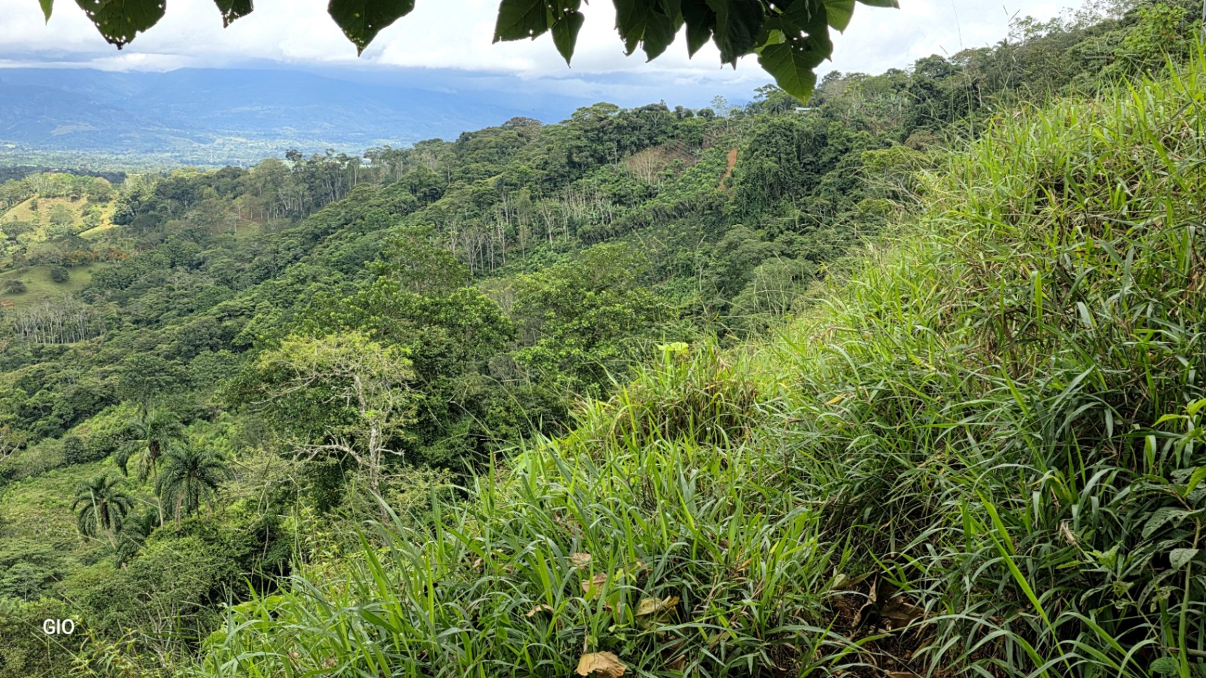 🔥 RARE FIND! COSTA RICAN PARADISE WITH WATERFALLS & CHIRRIPÓ VIEWS FOR SALE! 🔥Price reduced to $250,000