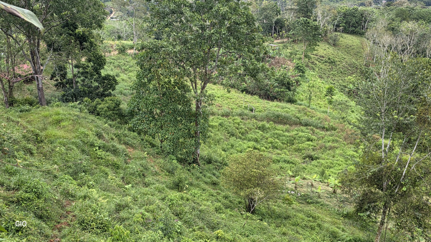 🔥 RARE FIND! COSTA RICAN PARADISE WITH WATERFALLS & CHIRRIPÓ VIEWS FOR SALE! 🔥Price reduced to $250,000