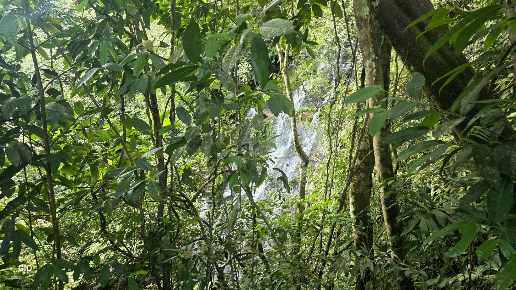 🔥 RARE FIND! COSTA RICAN PARADISE WITH WATERFALLS & CHIRRIPÓ VIEWS FOR SALE! 🔥Price reduced to $250,000