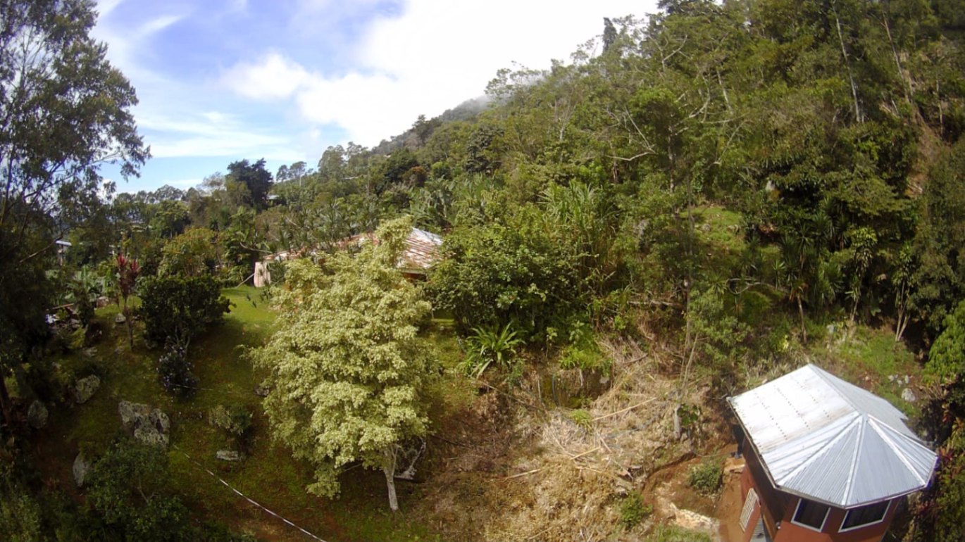 🌳🏞️ Rustic Mountain Retreat for Sale! 🏞️🌳