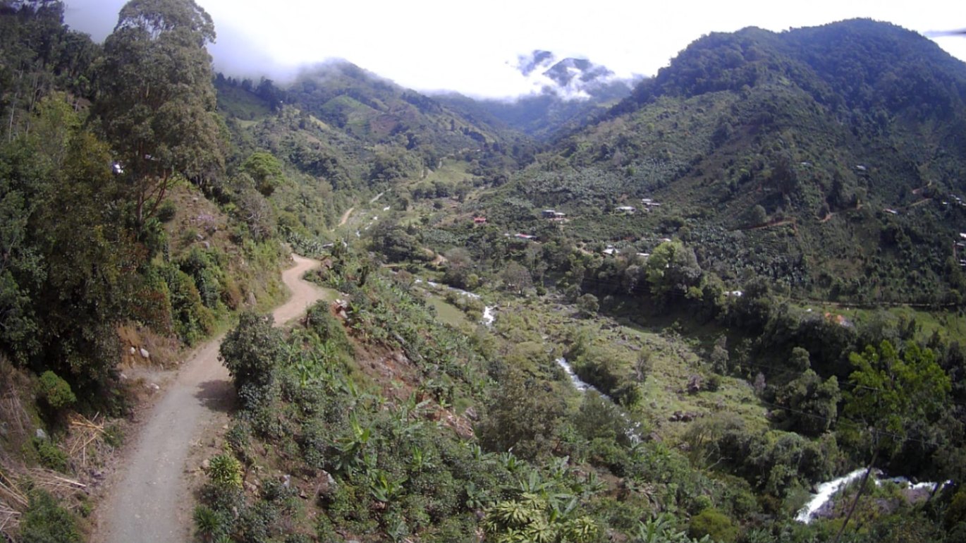 🌳🏞️ Rustic Mountain Retreat for Sale! 🏞️🌳