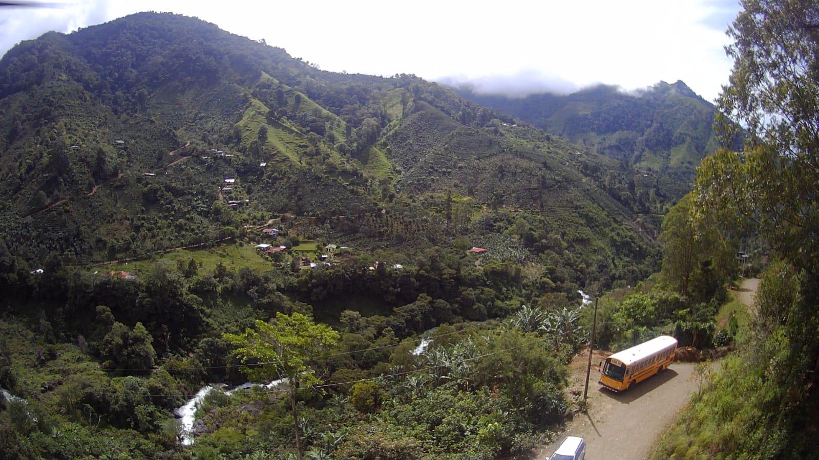 🌳🏞️ Rustic Mountain Retreat for Sale! 🏞️🌳