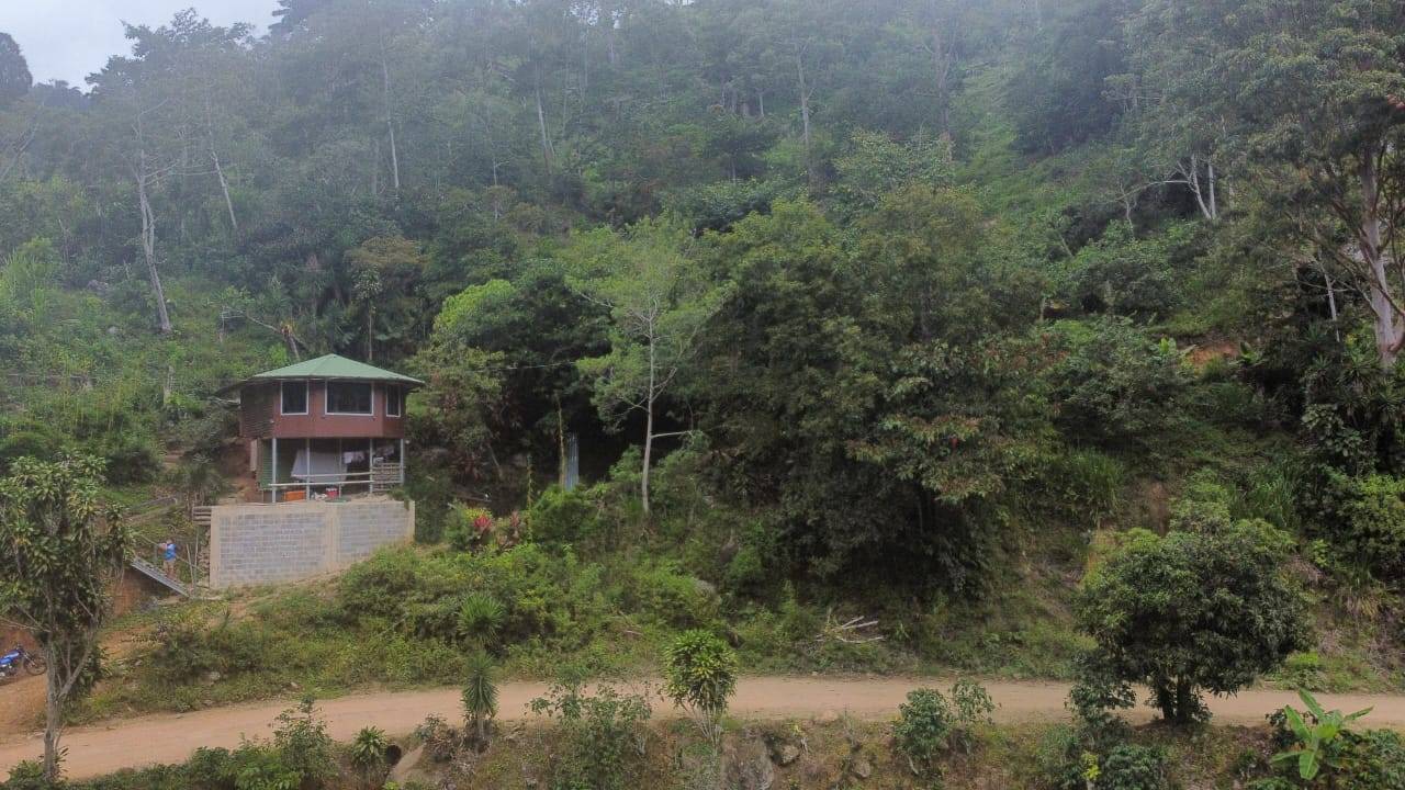 🌳🏞️ Rustic Mountain Retreat for Sale! 🏞️🌳