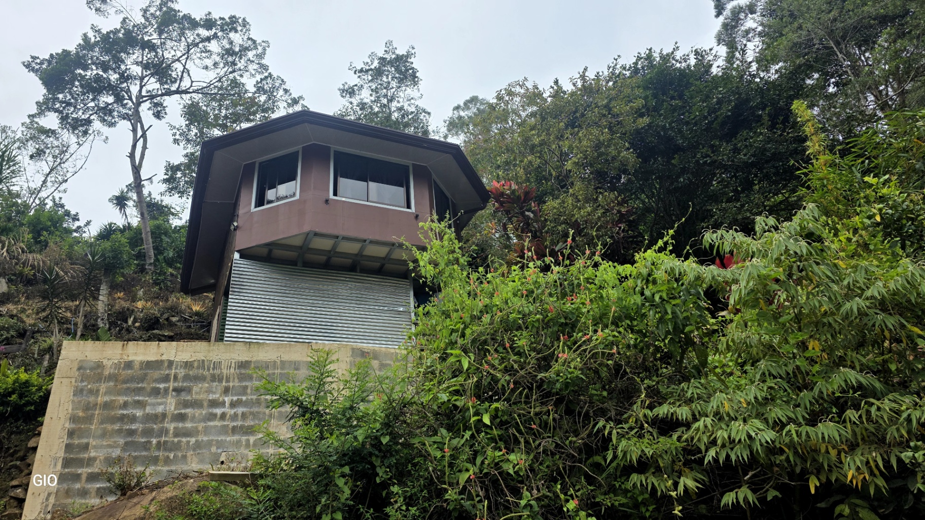 🌳🏞️ Rustic Mountain Retreat for Sale! 🏞️🌳