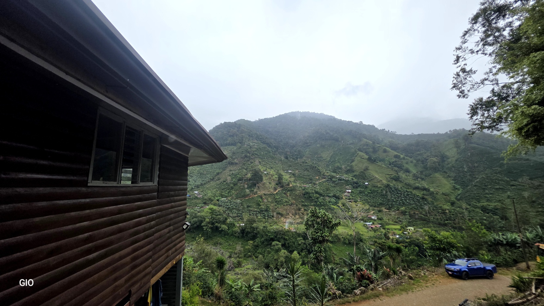 🌳🏞️ Rustic Mountain Retreat for Sale! 🏞️🌳