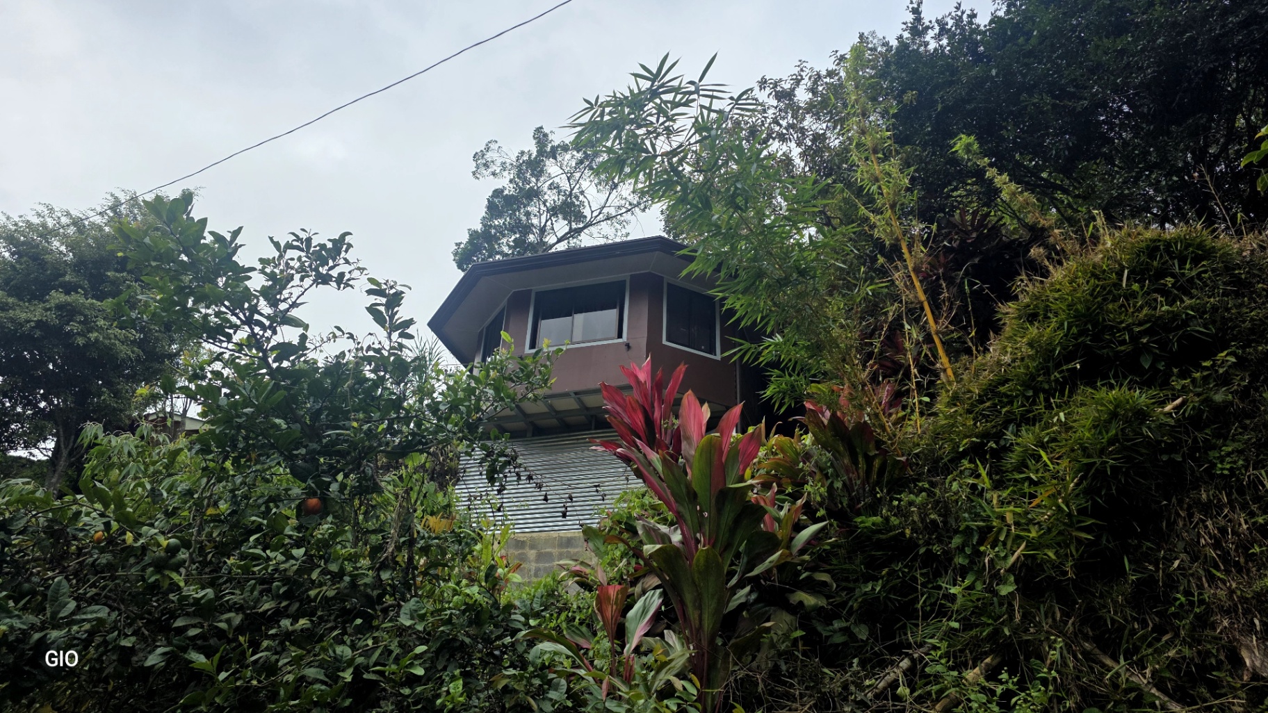 🌳🏞️ Rustic Mountain Retreat for Sale! 🏞️🌳