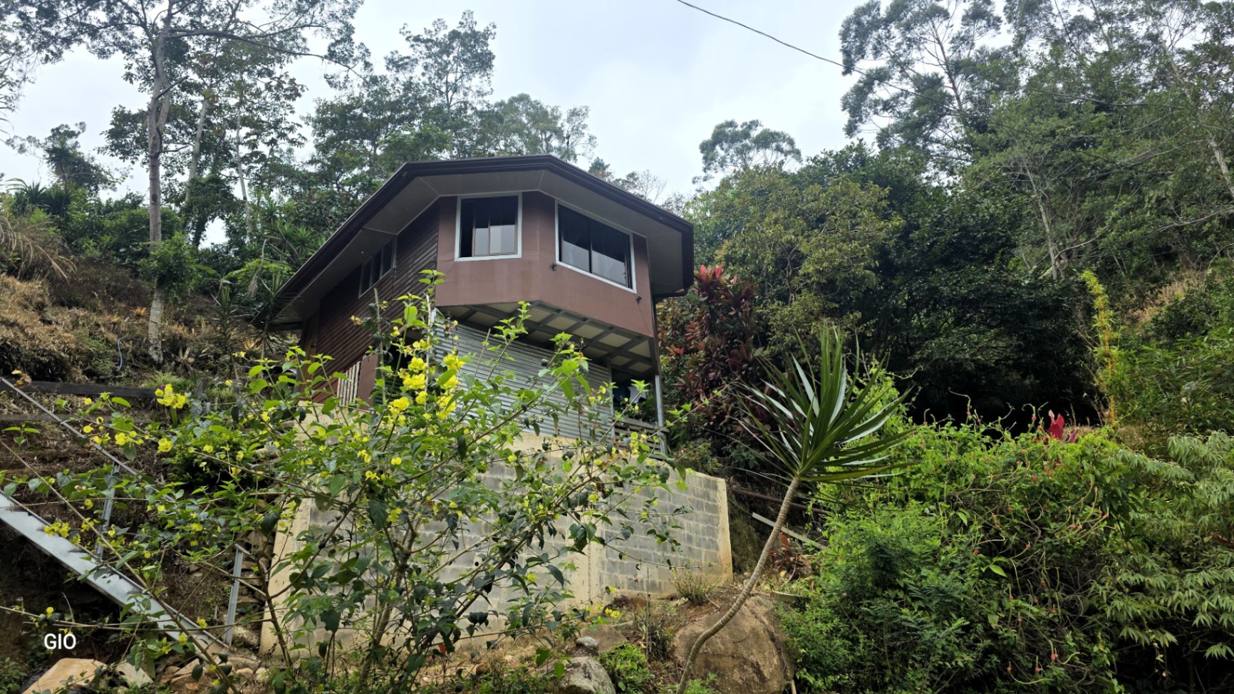 🌳🏞️ Rustic Mountain Retreat for Sale! 🏞️🌳