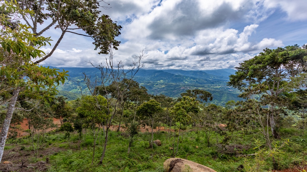  Spectacular Property with Chirripo Mountain  and San Isidro City Views