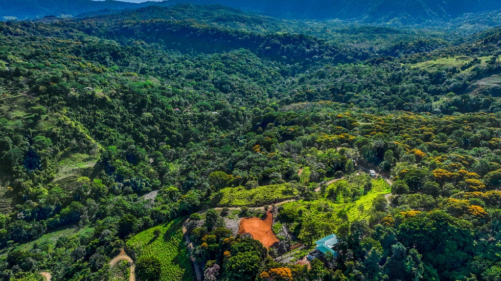 Waterfall View Homesites and Nature Community Playa Dominical