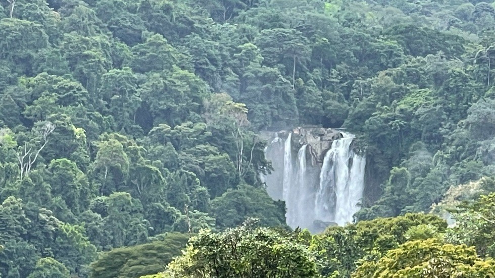 Waterfall View Homesites and Nature Community Playa Dominical