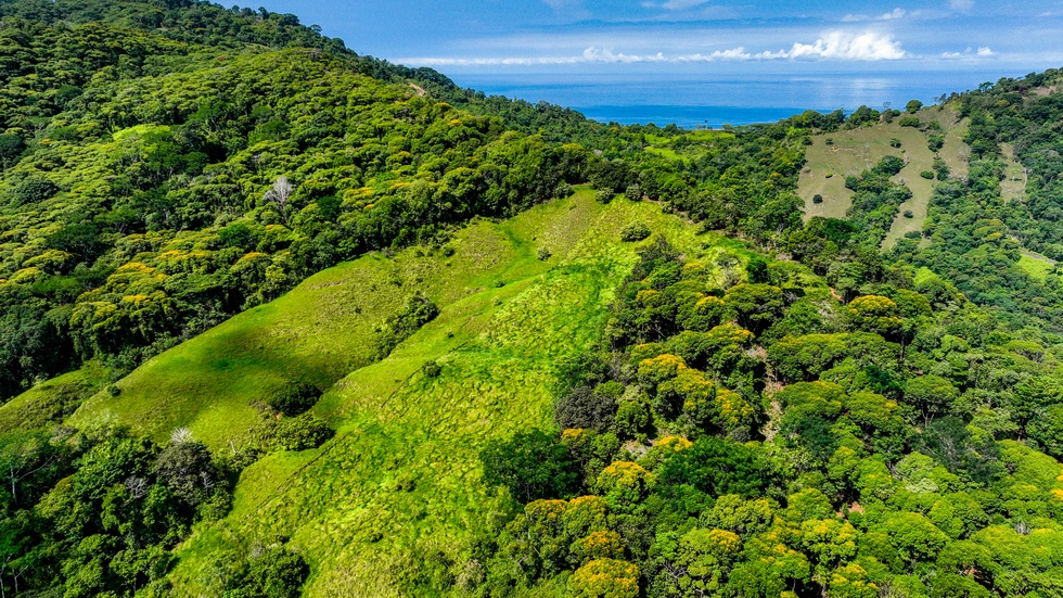 Waterfall View Homesites and Nature Community Playa Dominical