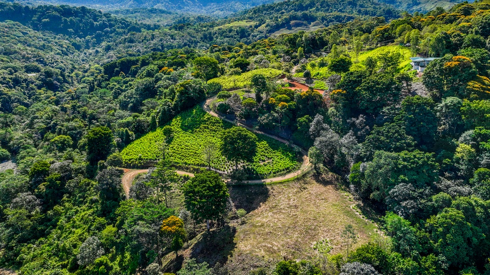 Waterfall View Homesites and Nature Community Playa Dominical
