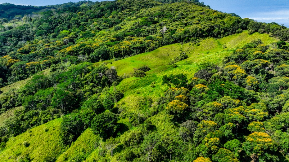 Waterfall View Homesites and Nature Community Playa Dominical