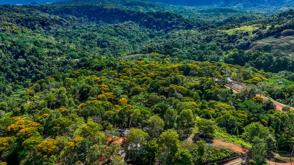 Waterfall View Homesites and Nature Community Playa Dominical