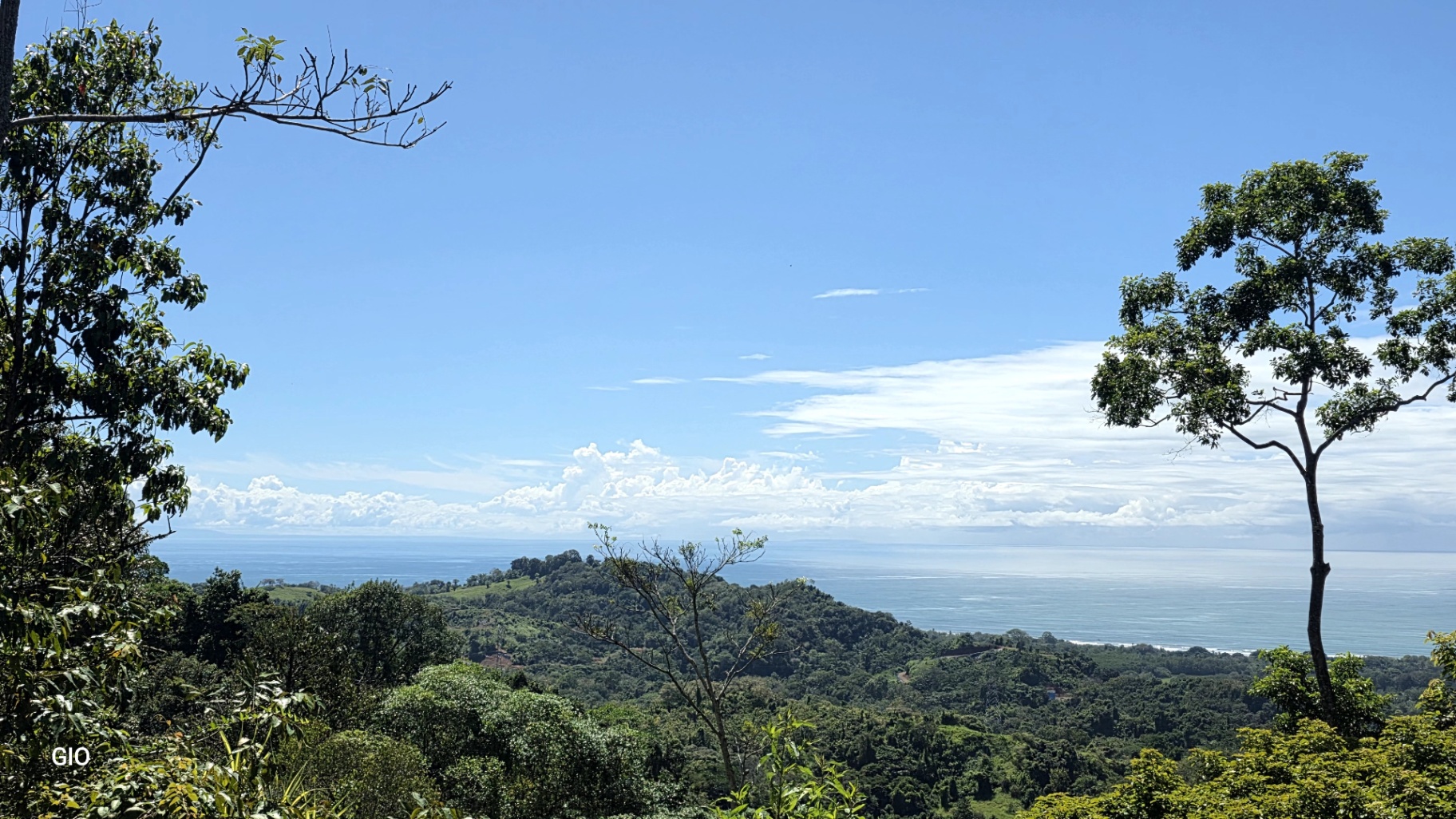 Unique Property with Waterfalls & Wildlife 🌴🐒🌊