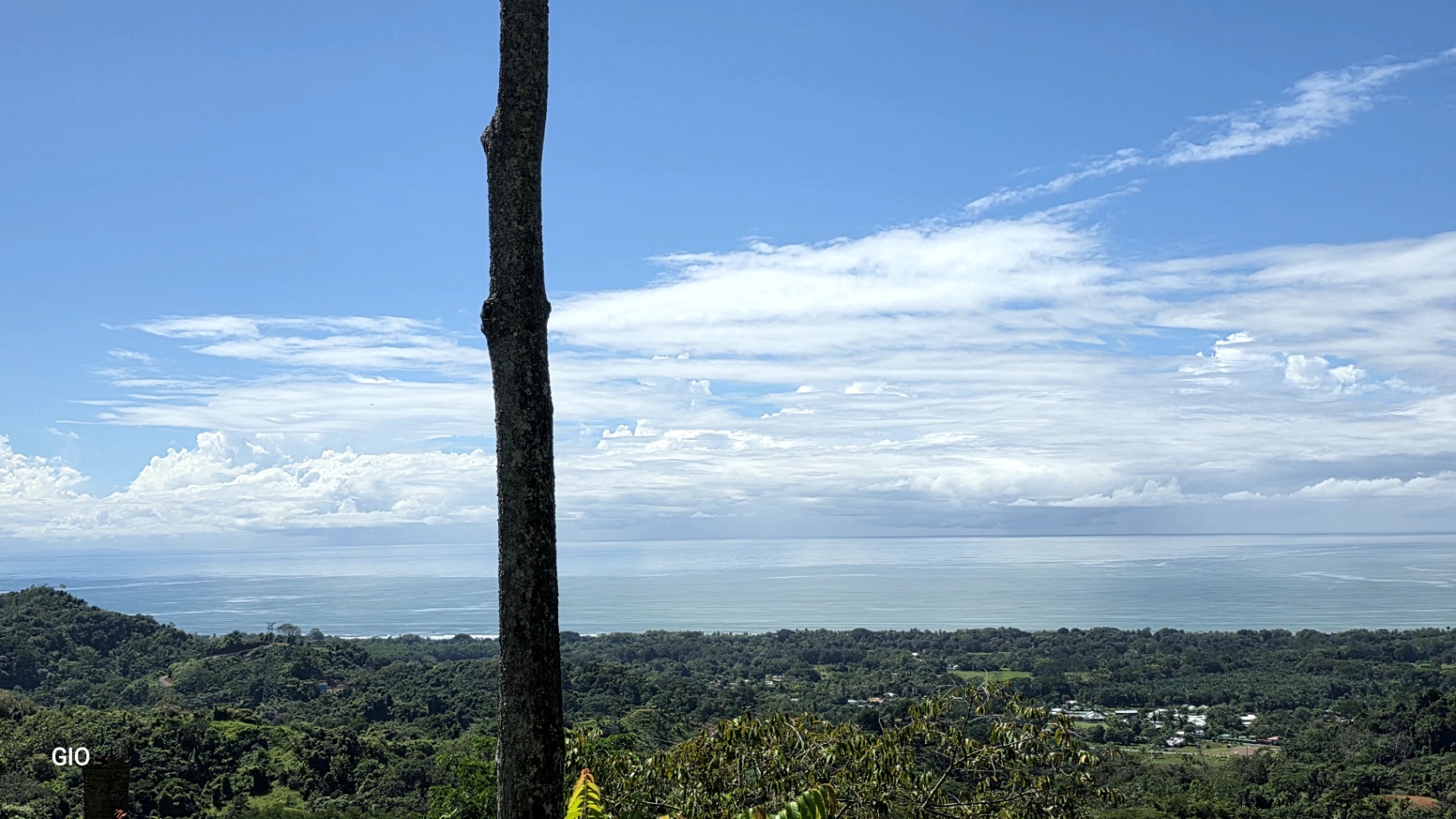 Unique Property with Waterfalls & Wildlife 🌴🐒🌊