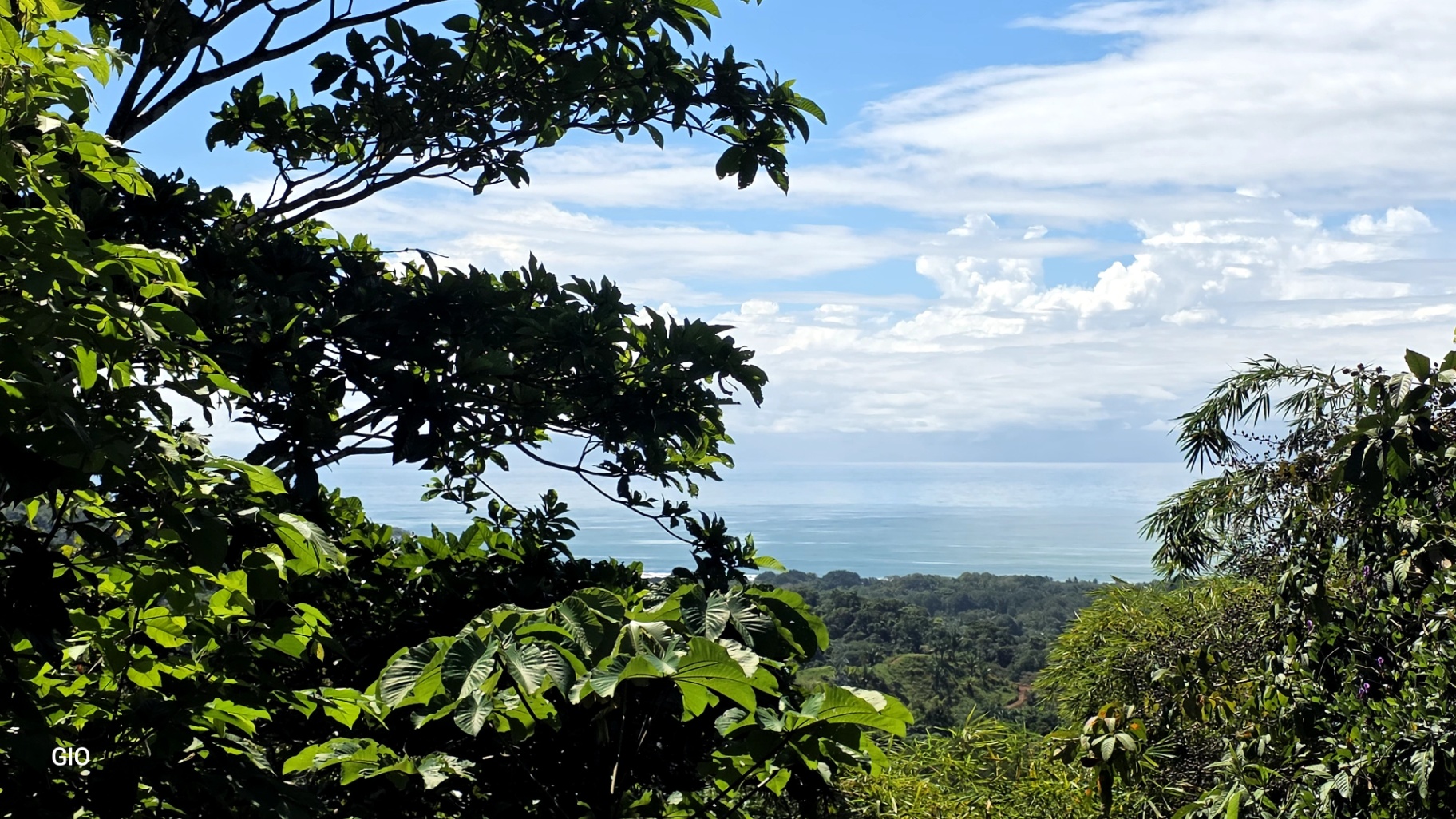 Unique Property with Waterfalls & Wildlife 🌴🐒🌊