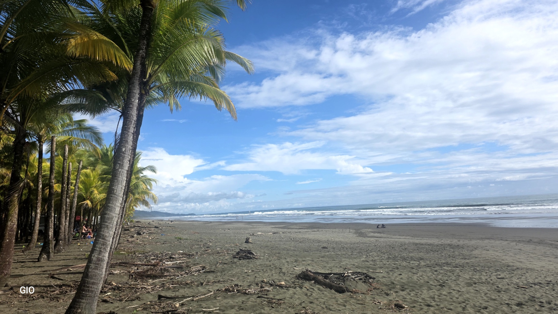 Unique Property with Waterfalls & Wildlife 🌴🐒🌊