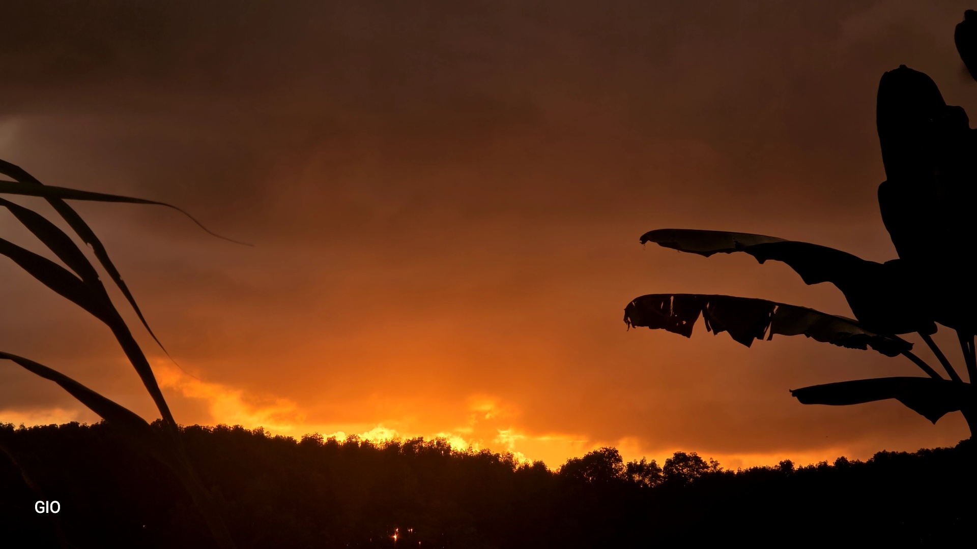 Unique Property with Waterfalls & Wildlife 🌴🐒🌊