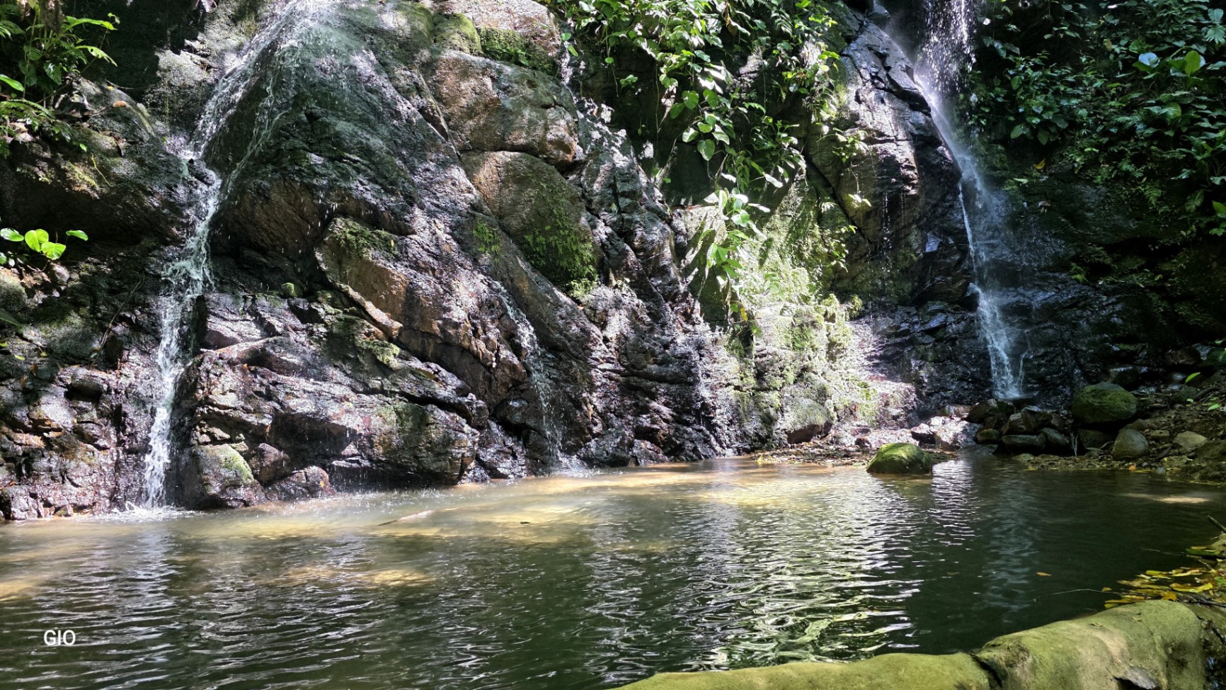 Unique Property with Waterfalls & Wildlife 🌴🐒🌊