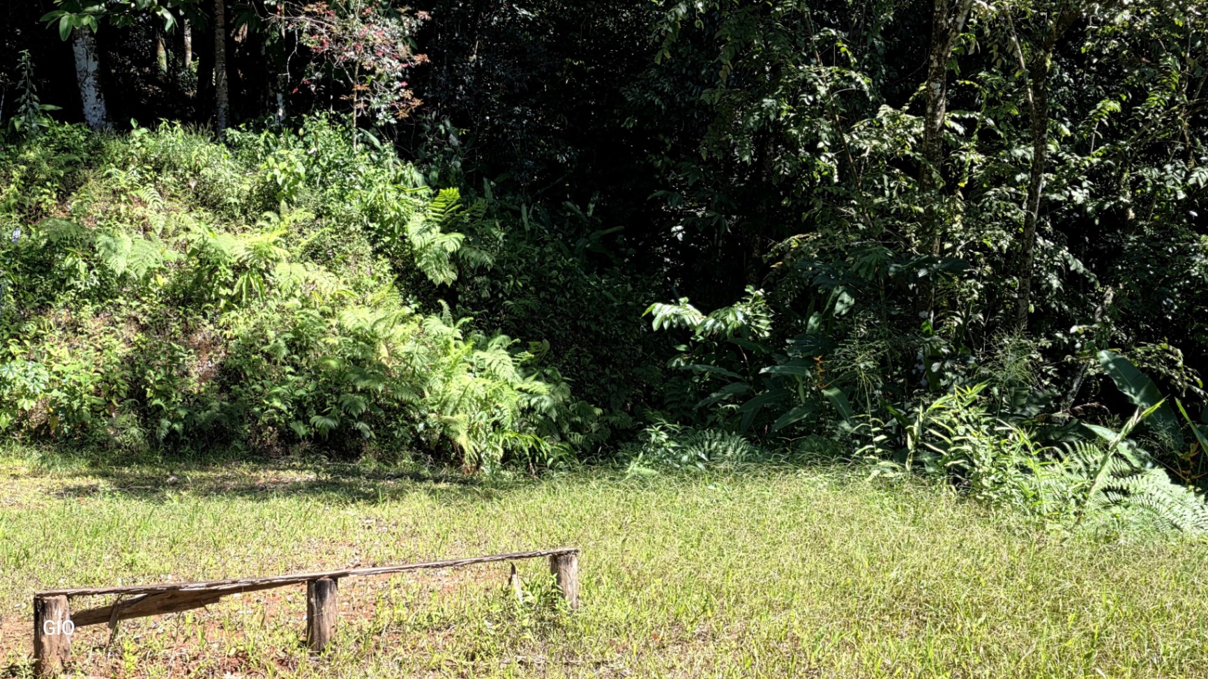 Unique Property with Waterfalls & Wildlife 🌴🐒🌊