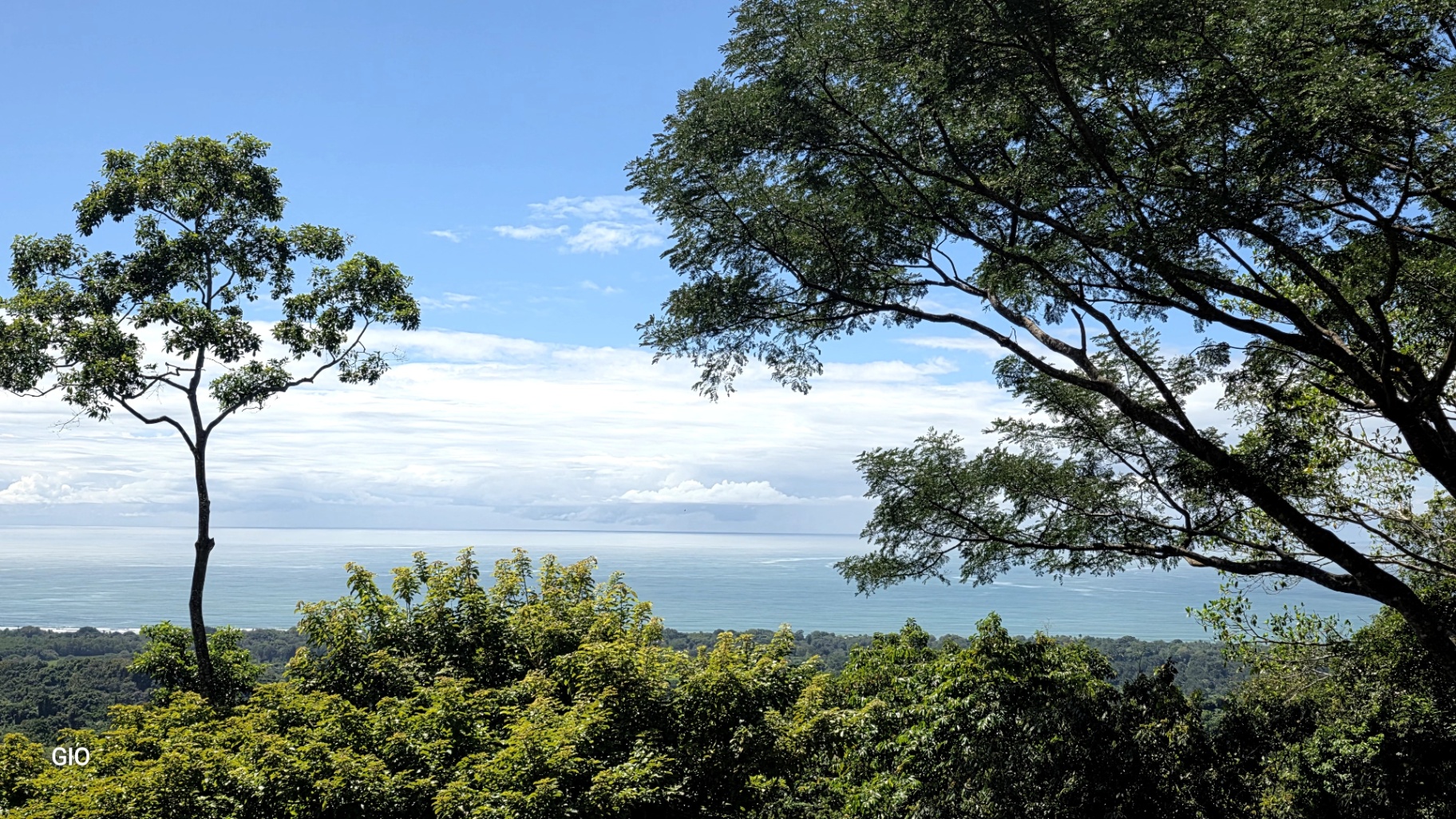 Unique Property with Waterfalls & Wildlife 🌴🐒🌊