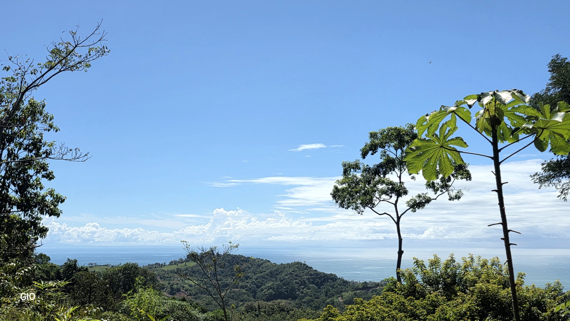 Unique Property with Waterfalls & Wildlife 🌴🐒🌊