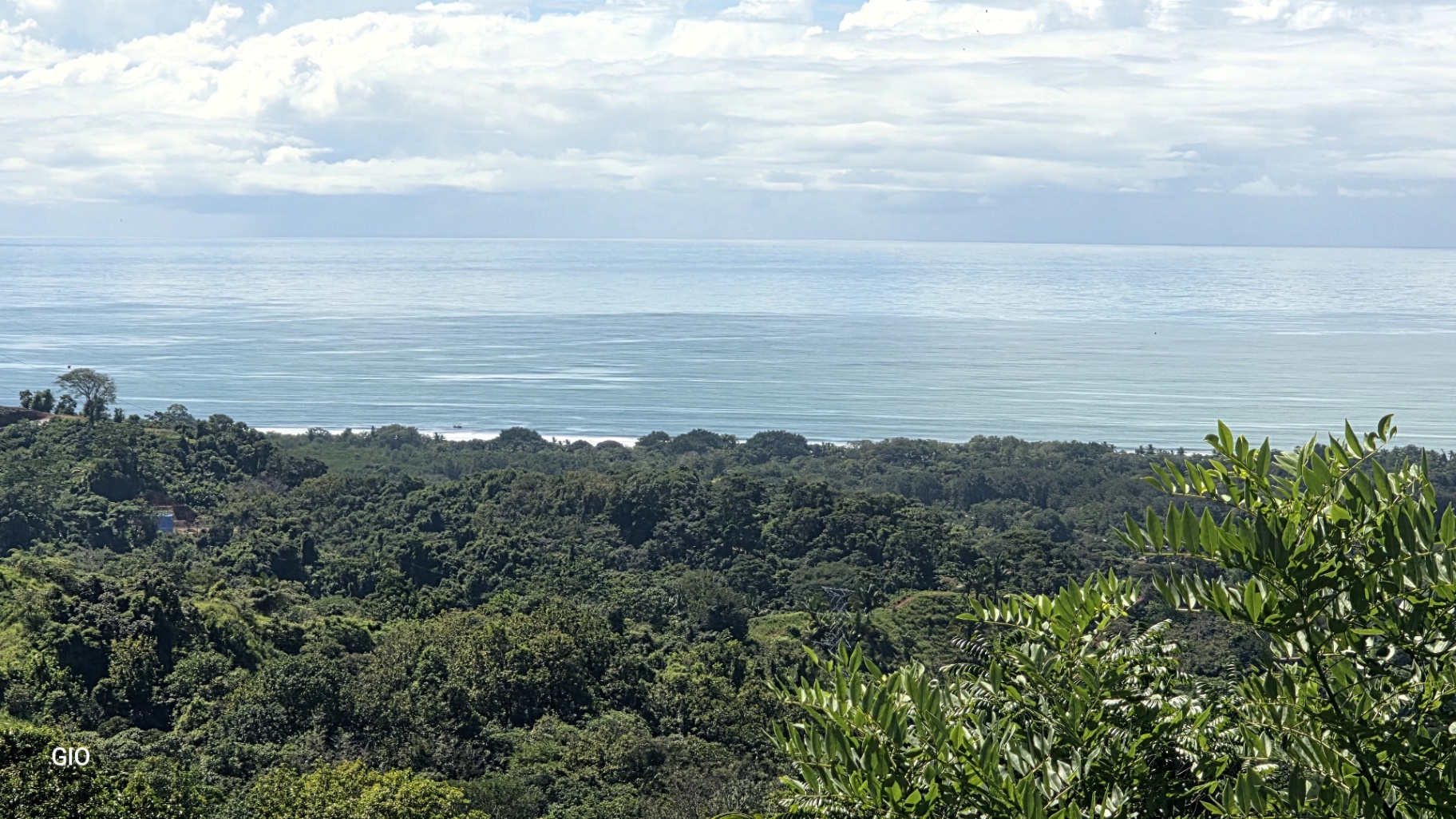 Unique Property with Waterfalls & Wildlife 🌴🐒🌊