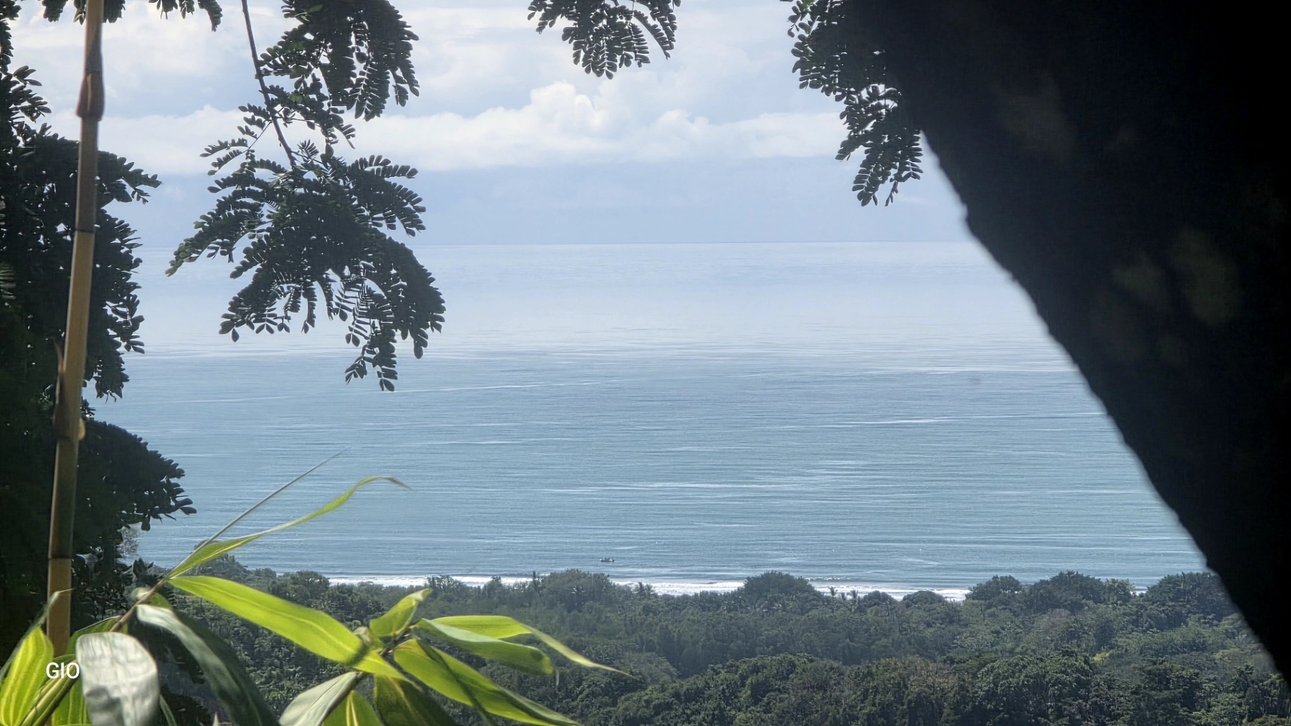 Unique Property with Waterfalls & Wildlife 🌴🐒🌊