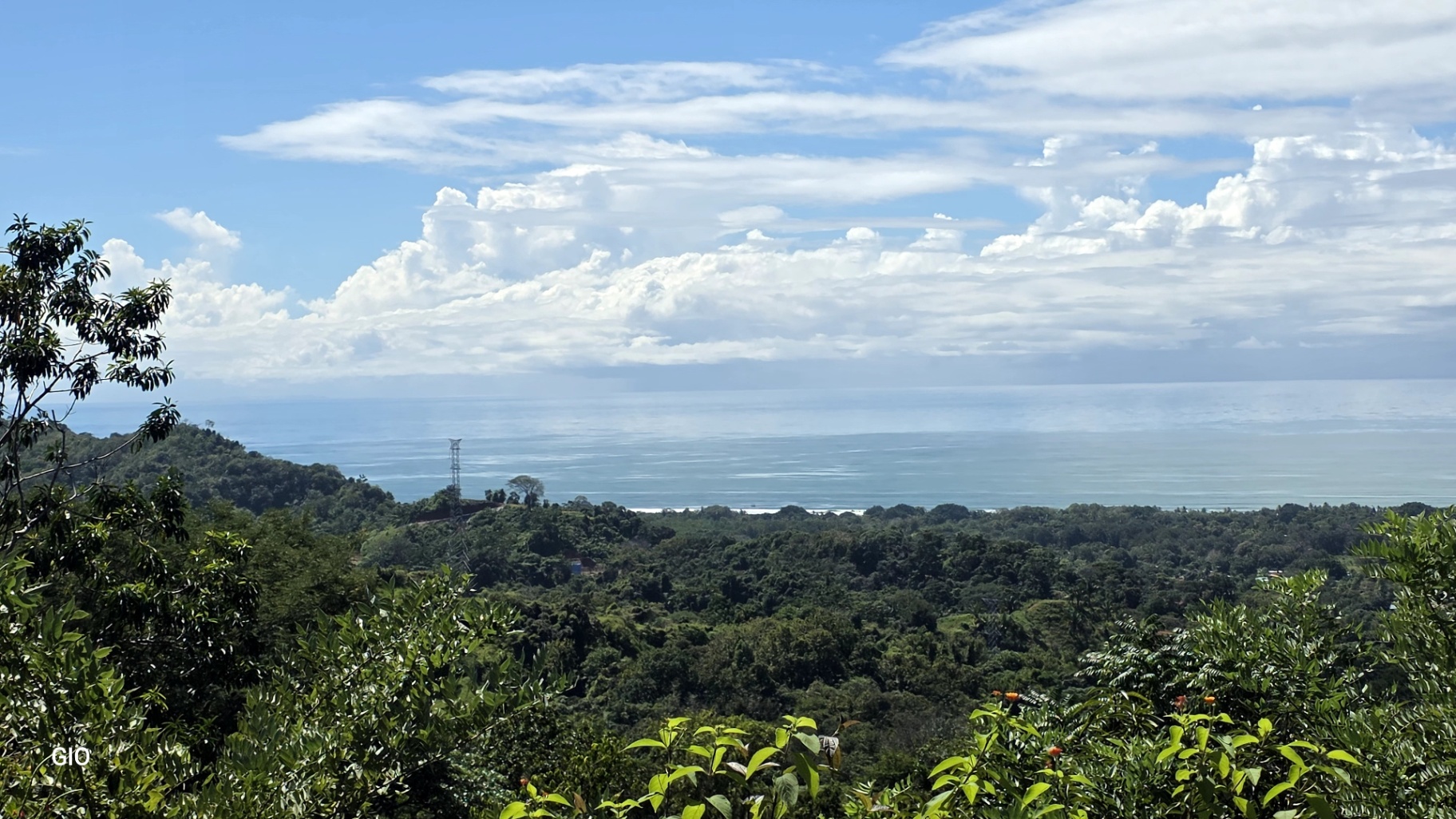 Unique Property with Waterfalls & Wildlife 🌴🐒🌊